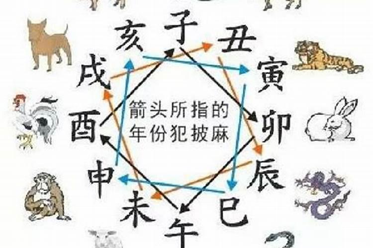 披麻在八字中代表什么意思