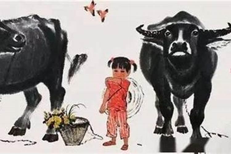 1972年属鼠未来5年运势 运势明显的提升？