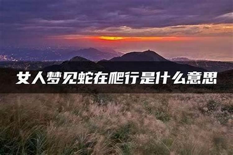 男人梦见很多蛇是什么意思 男人梦见很多蛇怎么解释