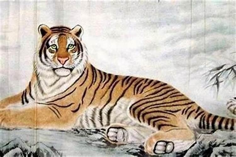 1998年属虎本命年运势 1998年是苦命虎还是富虎
