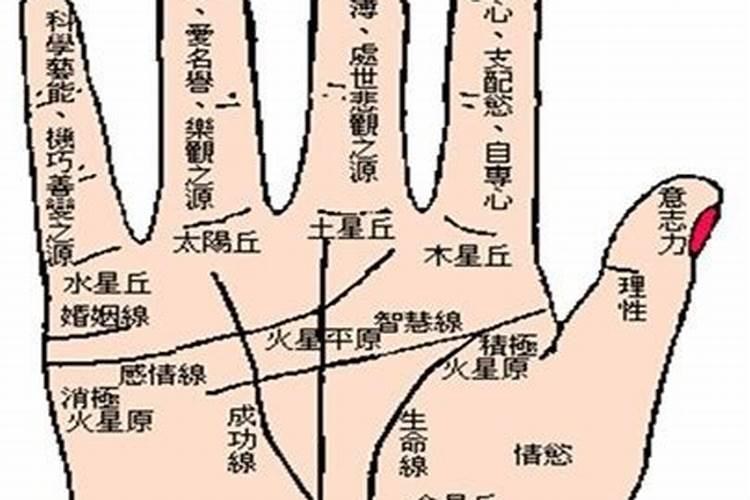 狗女和虎男能走一辈子吗
