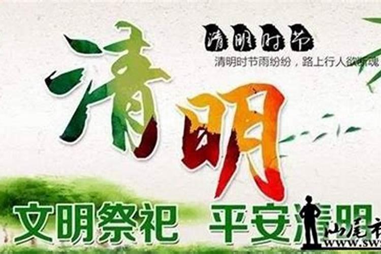 鸡鼠合不合