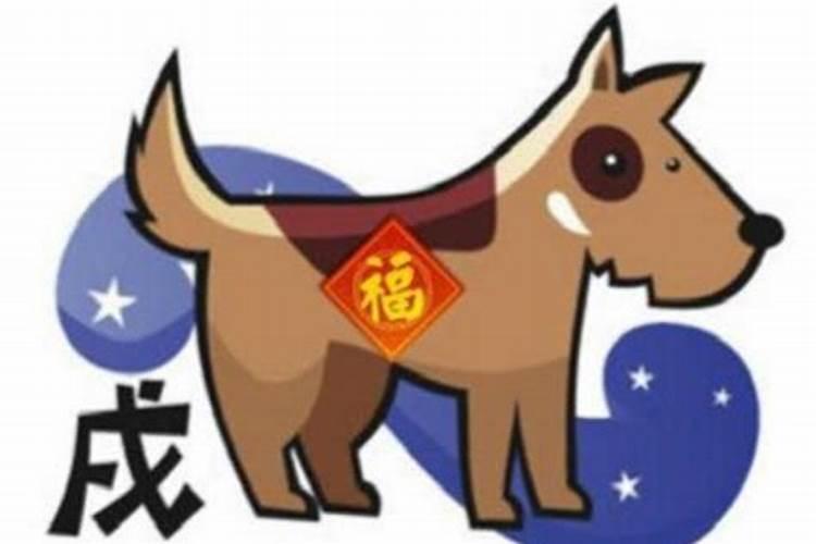 属狗和属鼠的合不合