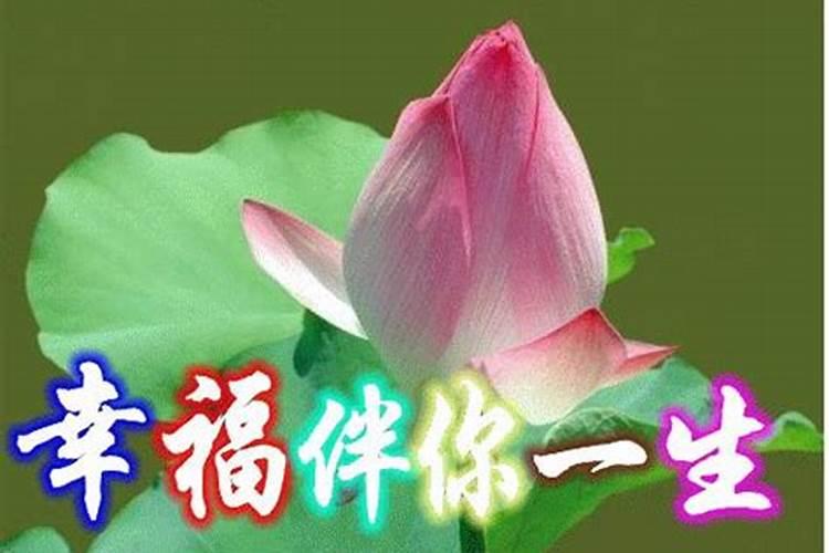 男属蛇女属羊合适吗