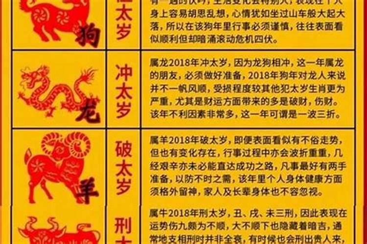 明年什么属相犯太岁2025