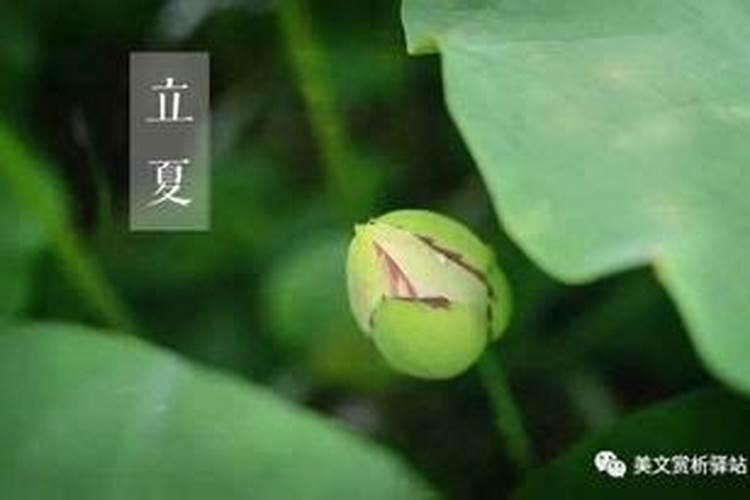 梦见棺材板是什么意思？