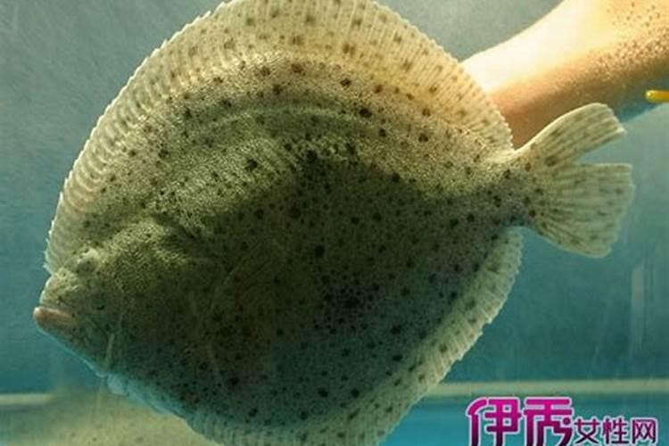 害太岁、破太岁、值太岁、刑太岁分别都是什么意思啊