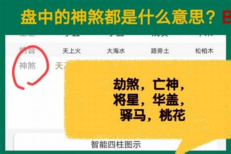 命理基础知识几种常用神煞