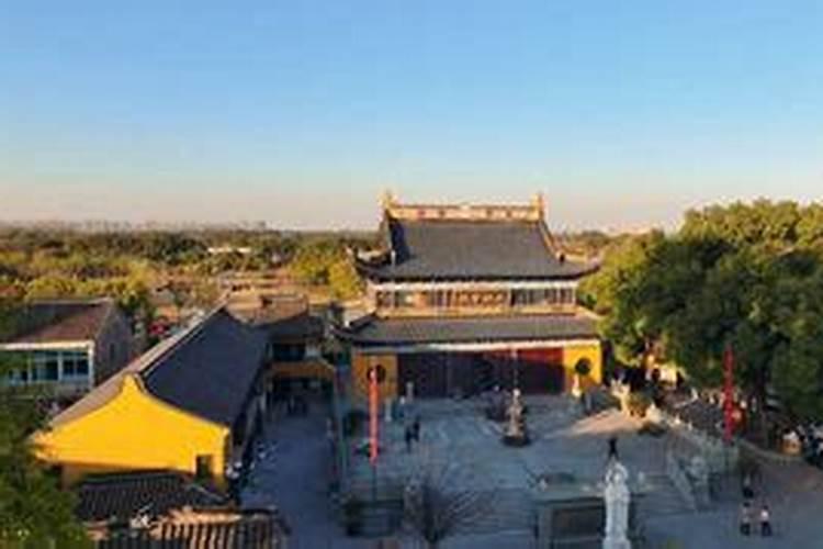 属马的隐藏性情,你理解吗？