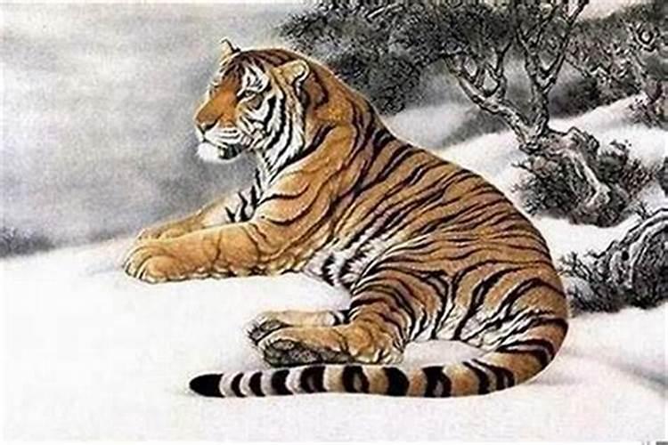 梦见老鼠窝是什么意思？