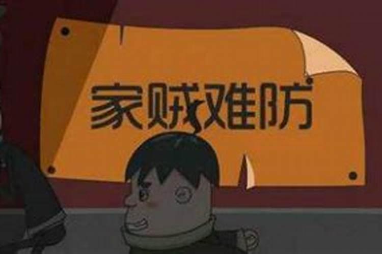 七夕送姐姐什么花好