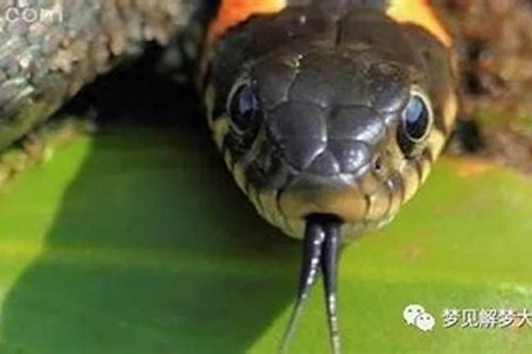 贵阳哪里可以找到风水先生