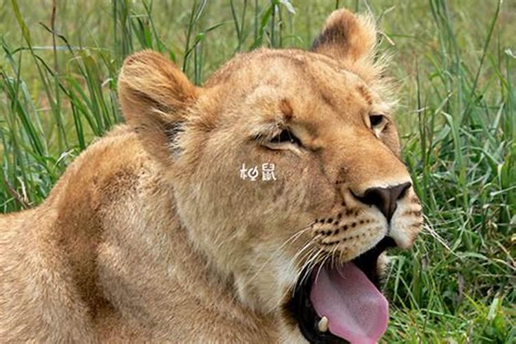 怎么算八字,怎么算自己的生辰八字？