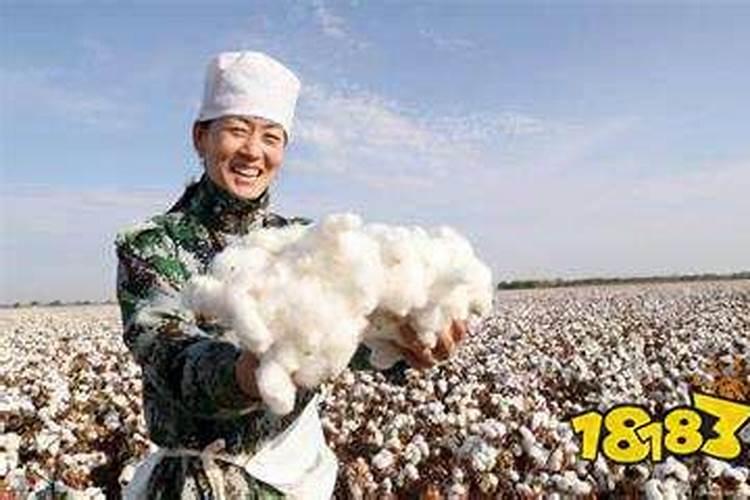 梦见和死去的父亲给地里摘棉花梦到两次是什么征兆