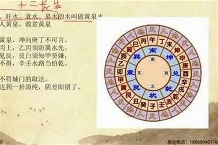 庚辰年戊子月丙午日己亥时男孩五行属什么？