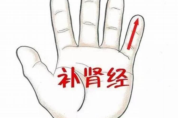 梦见三只乌龟爬向我的预兆