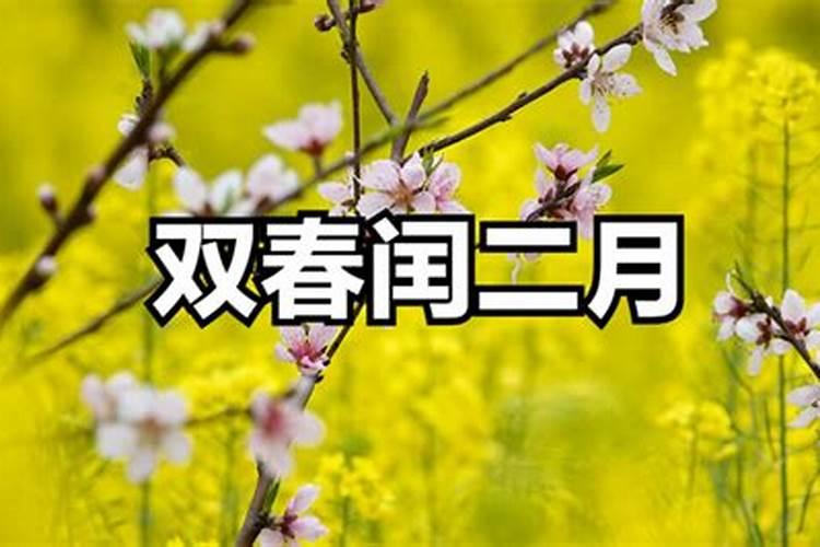 属羊1991年的男人命不好吗
