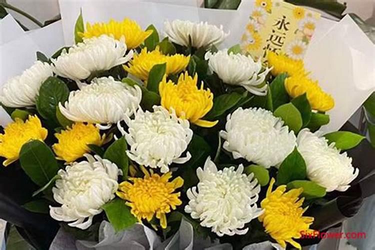 清明扫墓鲜花一盆还是二盆清明节扫墓鲜花摆几盆合适