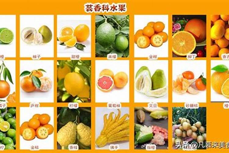 腊月一般吃什么水果