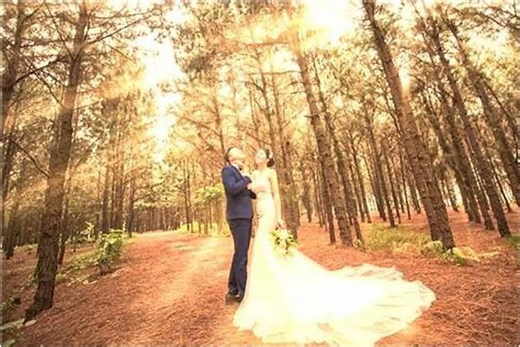 婚姻与属相的相配表