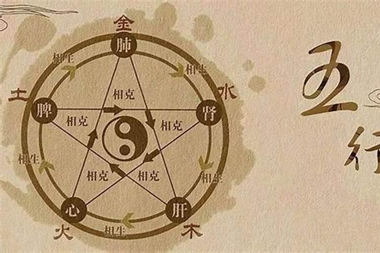 我属猪腊月二十四生日好不好