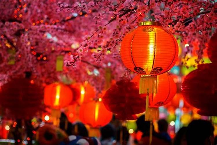 农村人的春节习多于五十个字。