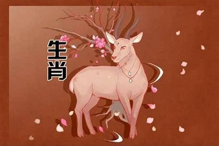 属羊的怎么转运保平安属羊佩戴什么招财