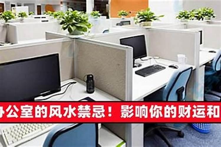 2025年五行属什么