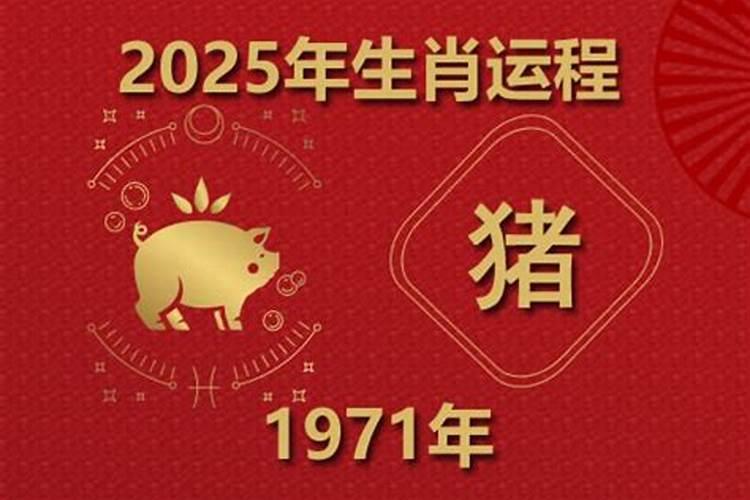 生肖猪1971年2025年运势如何 生肖猪1971年2025年全年运势