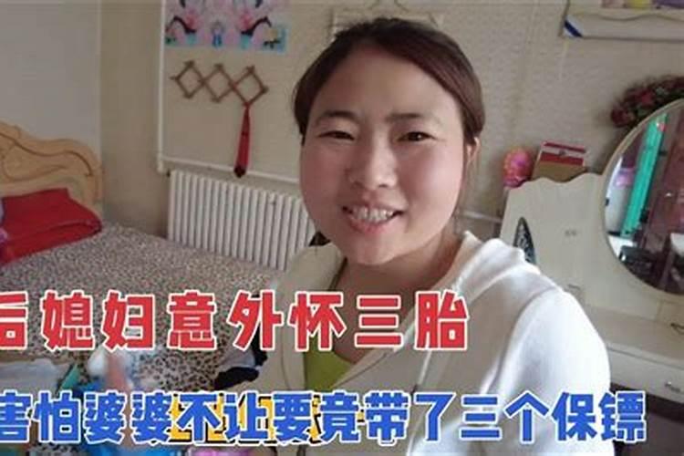 属虎的今年命运