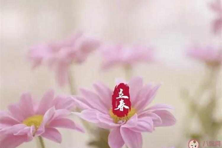给别人测试塔罗牌方向是什么？
