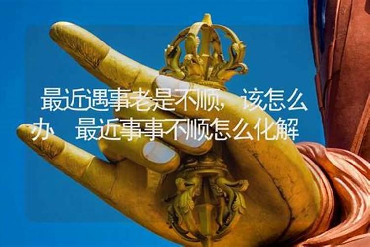 我很好奇,晚上做梦梦见黑猫,玩得相当好,但是不知道为什么死了,我找不...
