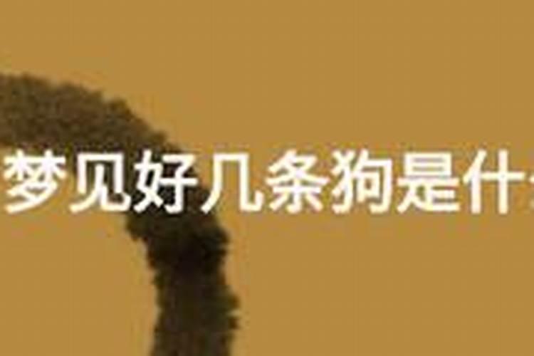 正月十五能不能刷车？