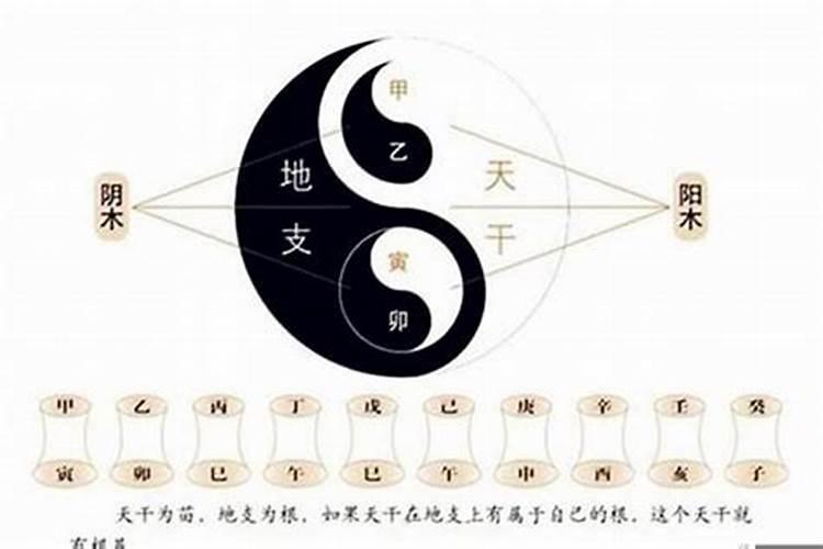 廊坊年初一去哪里玩比较好