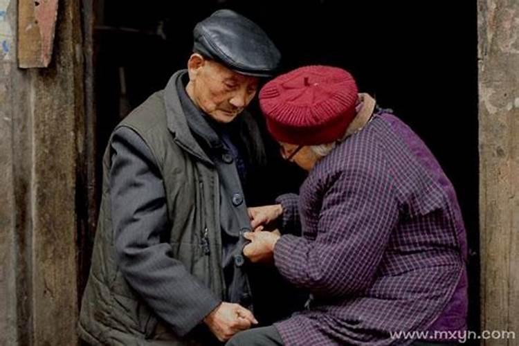 70年狗金男88年龙女木婚配,属狗的和属龙的相配吗