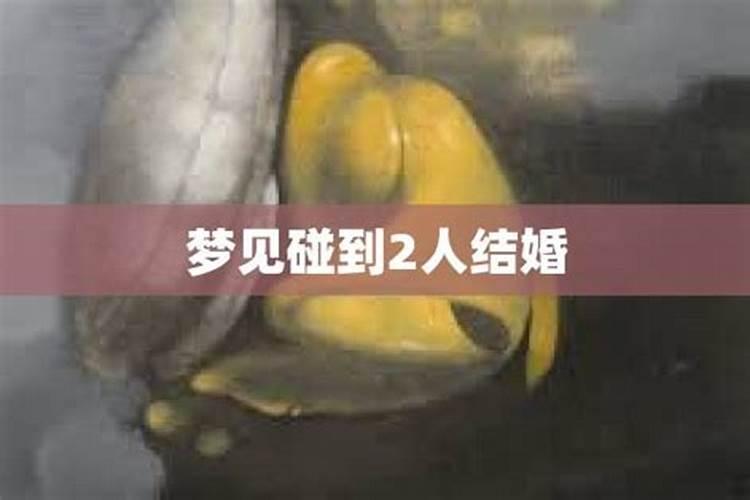 万年历怎么查当日属相？