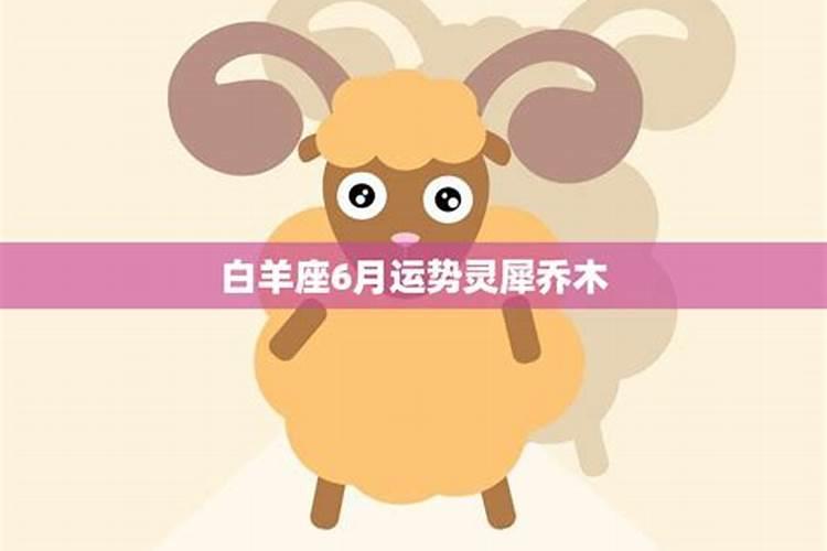 北京爱情故事程峰跟肥四打架后进派出所,那个民警叫什么？