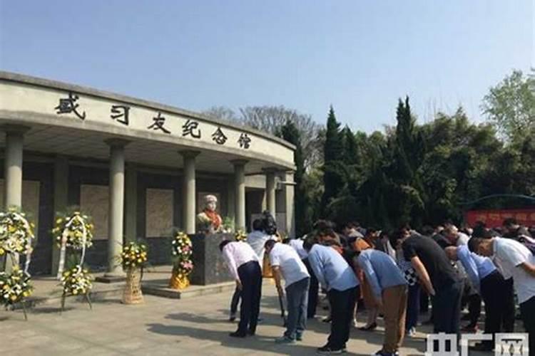 梦见小白狗是什么兆头？