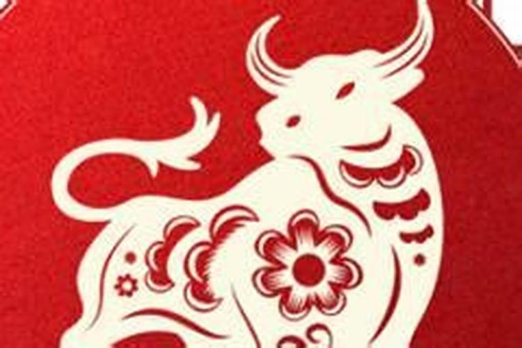 年柱月柱日柱时柱代表什么