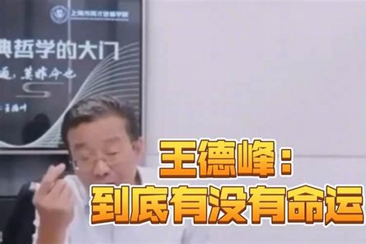 86属虎2025全年运势