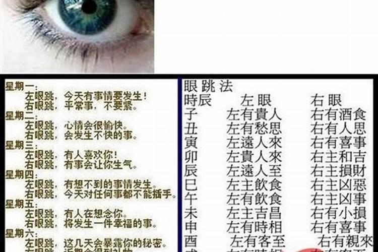 2025年鼠人的全年运势如何
