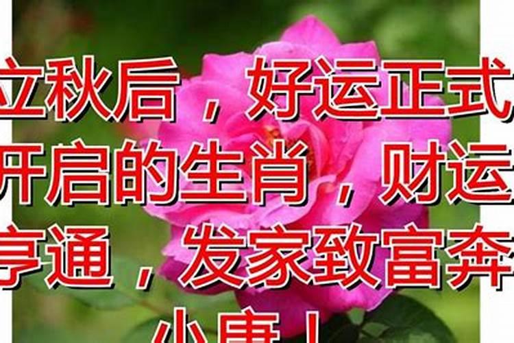 如何挽救事业运气