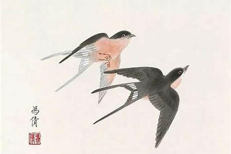 女人梦见蛇还有血预示着什么