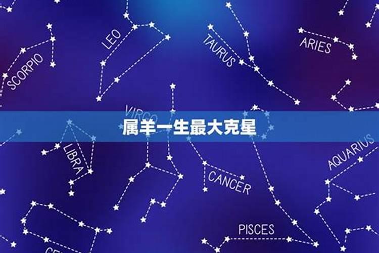 2025年是属什么年犯太岁