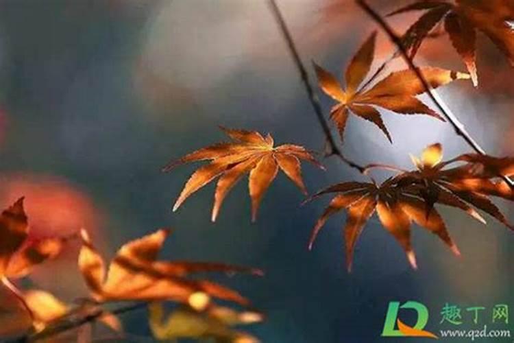 24节气秋分有哪些习俗