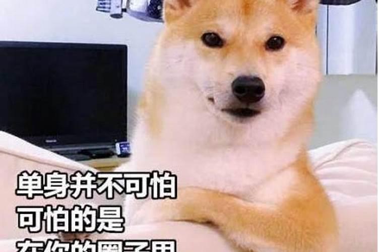 初一至初七分别是什么诞？