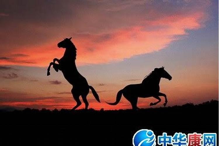 情侣八字怎么看合不合 测两人八字是否相克？