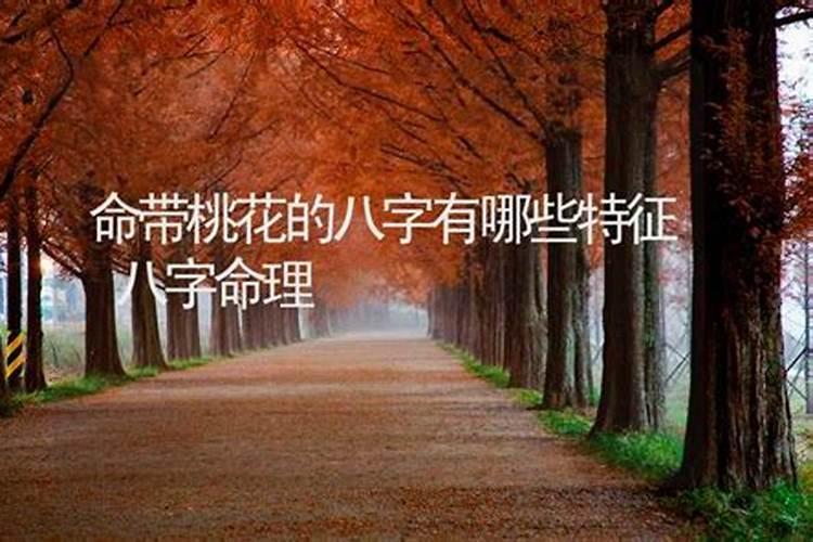 风尘女人的八字有什么特点,八字桃花较多