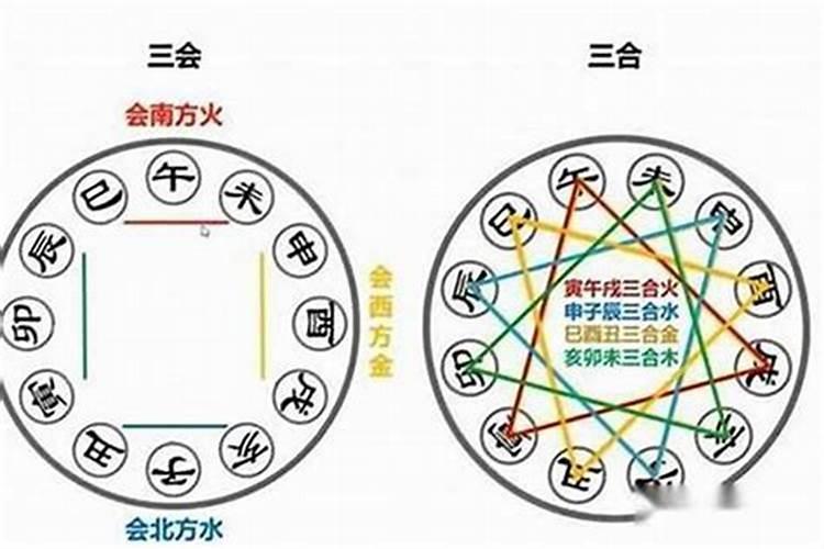 八字的三合三会