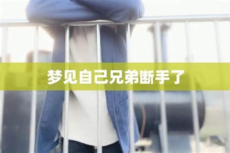 生肖狗1946年2025年运势如何 生肖狗1946年2025年全年运势